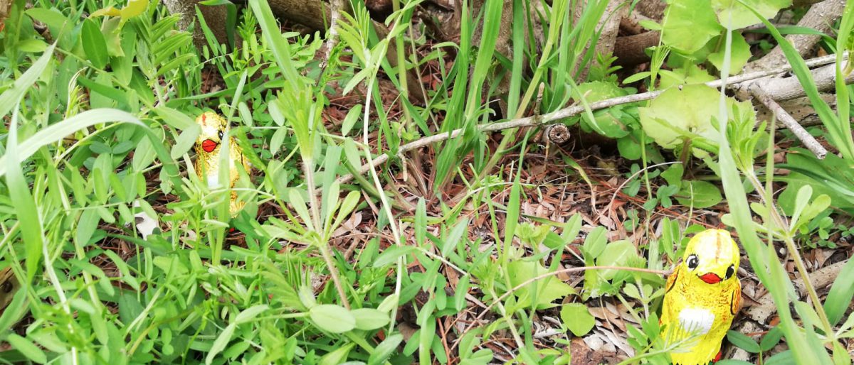 Permalink zu:Große Osterhasensuche für unsere Kleinen Permalink zu:Große Osterhasensuche für unsere Kleinen